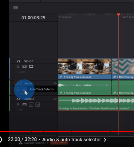 Da Vinci Resolve 17 Auto Track Selector
