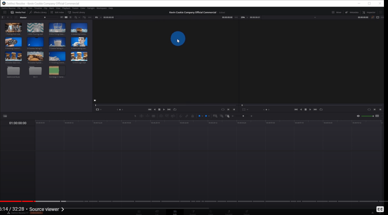 Davinci Resolve 17 Source Viewer